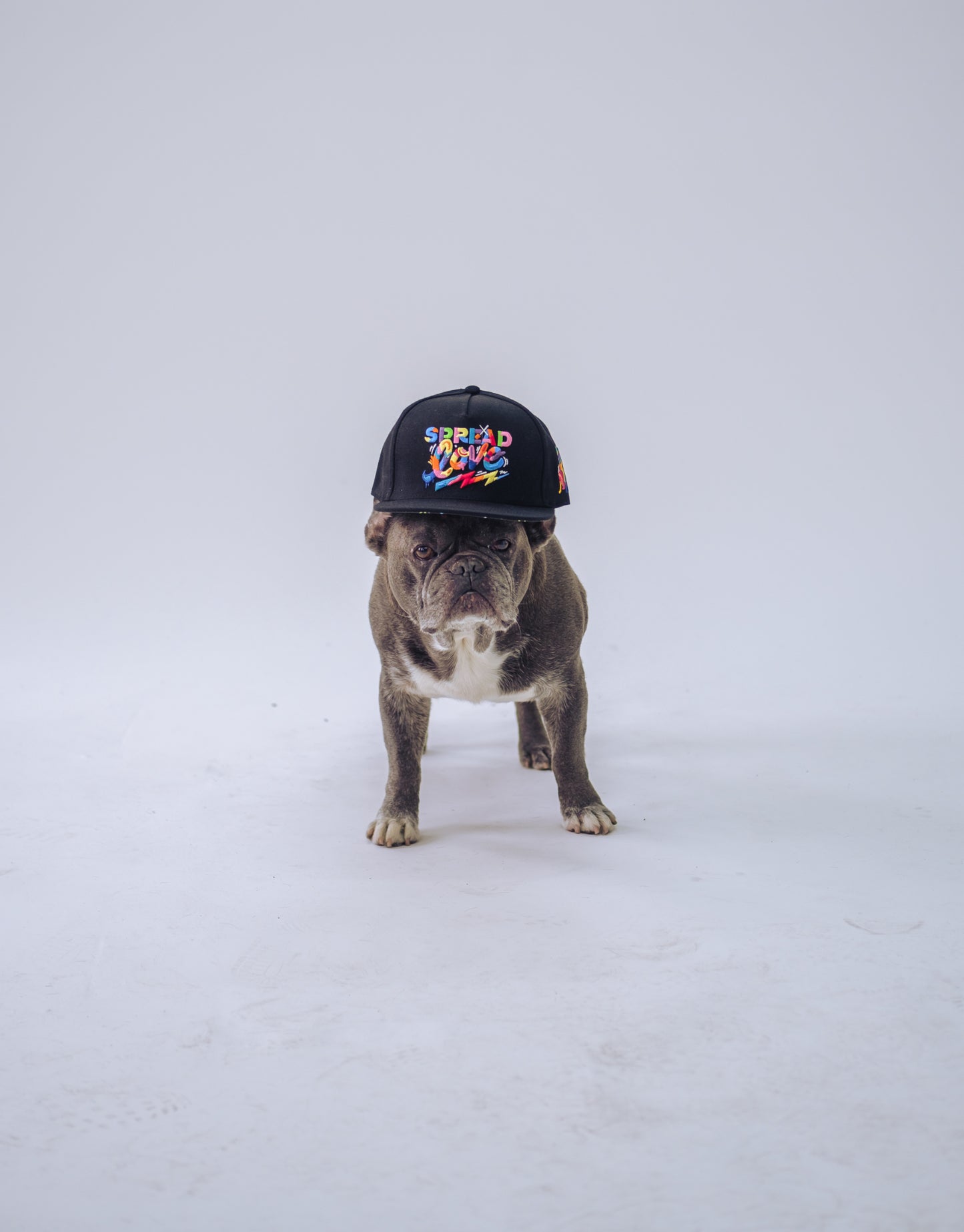 Love is THE VIBE Snapback- Black by Jason Naylor