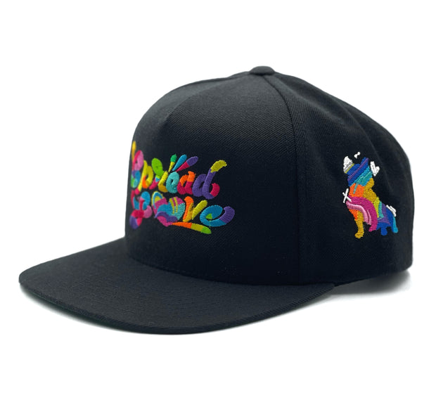 Spread Love X Jason Naylor EmotionLogo Snapback